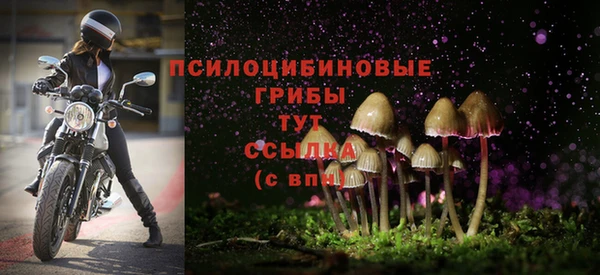 кокаин колумбия Алзамай