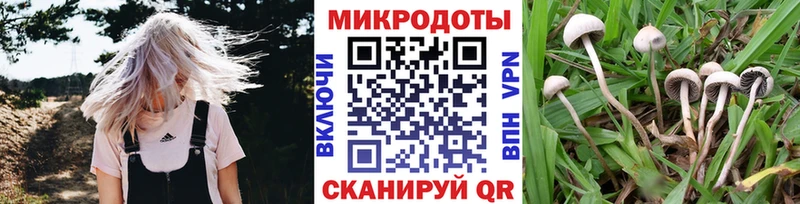 Галлюциногенные грибы Psilocybe  МЕГА онион  Заозёрный  цены  